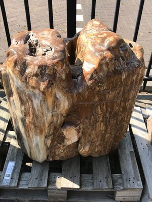Fossiel hout C68