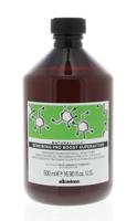 Davines Shampoo - NaturalTech Renewing - 500 ml
