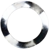 Elvedes Trapas veerring/Wave Washer 31 x 24 x 0.6 mm aluminium (20 stuks) - thumbnail