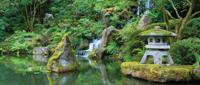 Japanse tuin 130x50cm Tuinschilderij - Customize it