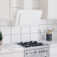Wandafzuigkap 60 cm roestvrij staal en gehard glas wit