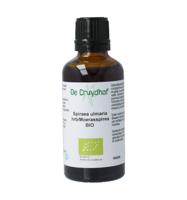 Spiraea ulmaria herb / moerasspirea tinctuur bio