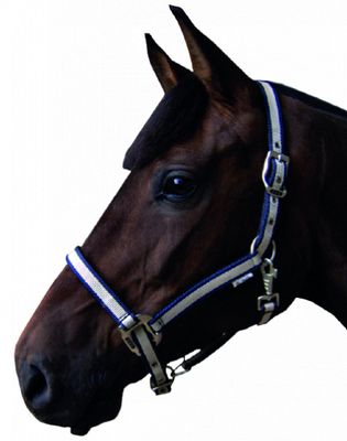 S2G halster pony 40 x 35 x 3,5 cm nylon wit/blauw