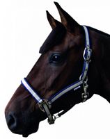 S2G halster pony 40 x 35 x 3,5 cm nylon wit/blauw - thumbnail