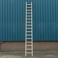 Bouwladder hout enkel 16sp 4.20m Bouwladder hout enkel 16sp 4.20m