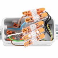 Wago Lasklem 221-2411 hevelklem 2 draden voor soepele massieve draad van 0,2 tot 4mm² 32A Wago Lasklem 221-2411 hevelklem 2 draden voor soepele massieve draad van 0,2 tot 4mm² 32A