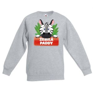 Zebra dieren sweater grijs voor kinderen