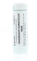 Homeoden Heel Magnesium muriaticum 10MK 6 Gram