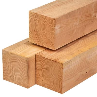 Paal premium douglas 19,0x19,0x600 cm Tuindeco - Tuindeco