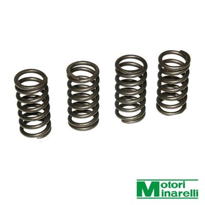 Koppelingsveer set Minarelli AM6