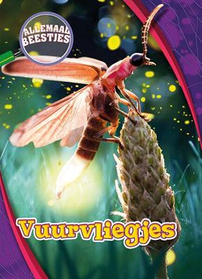 Vuurvliegjes (Hardback)