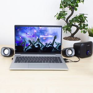 Eminent EM3515 luidspreker set 11 W PC/Laptop Zwart 2.1 kanalen 3 W