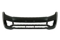 Bumper 5510009596900P