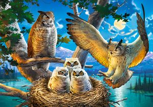 Castorland Owl Family 500 stukjes