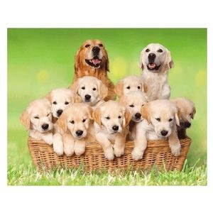 3D koelkast magneetje golden retrievers