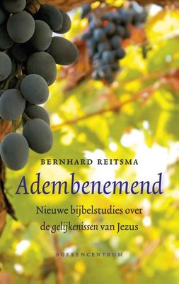 Adembenemend - Bernhard Reitsma - eBook (9789023929277)