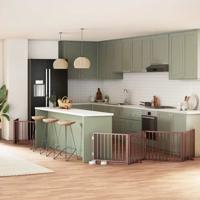 Hondenhek inklapbaar 10 panelen 800 cm populierenhout bruin