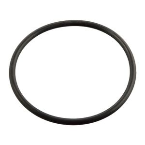 O-ring 11443