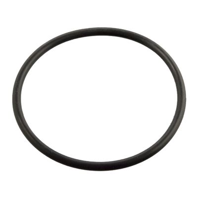 O-ring 11443