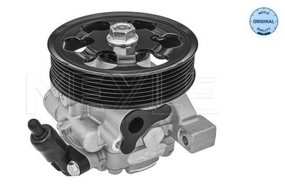 Servo pomp 31146310002