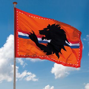 1x Reuze oranje Holland vlag 2 bij 3 meter - Oranje straatversiering   -