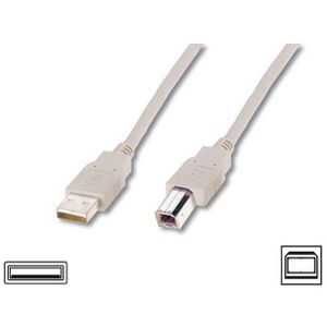 Cable Company USB connection cable USB-kabel 3 m USB A USB B Beige