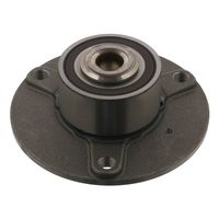 Wiellager 36789