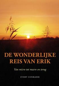 De wonderlijke reis van Erik (Paperback)