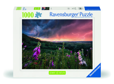 Ravensburger puzzel Dreamy Thunder 1000 stukjes