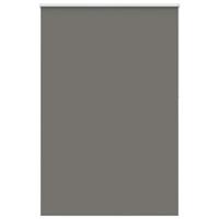 VidaXL Rolgordijn verduisterend 160x210 cm stofbreedte 156,6 cm grijs