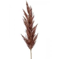 Grass Pampas Brown L 115 cm kunsttak per 1 stuks - thumbnail