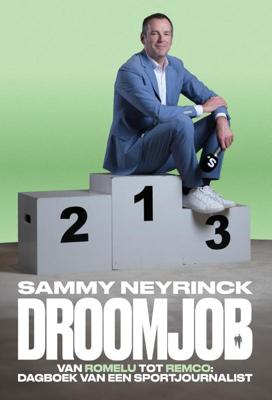 Droomjob (Paperback)