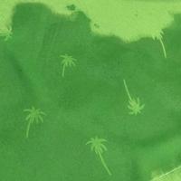 SWIMSWEAT SOFTEE PALM