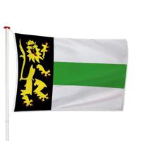 Vlag Druten - thumbnail