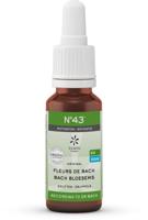 Lemonpharma Bach Bach bloesems mengeling 43 motivatie bio Lemonpharma Bach Bach bloesems mengeling 43 motivatie bio