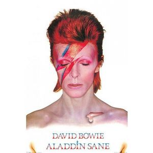 Pop idool poster David Bowie Aladdin Sane