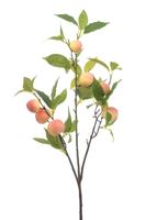 Peach spray 85 cm Emerald - Emerald Peach spray 85 cm Emerald - Emerald