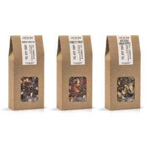 Café du Jour verse losse thee - fruitig pakket - 3 x 100 gram