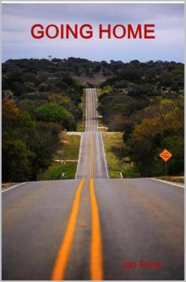 Going home - Jan Prins - eBook (9789402170696)