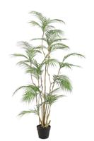 Tropische Areca-palm kunstplant 160 cm