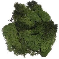 Donkergroene mos natuurlijk materiaal 50 gram - thumbnail