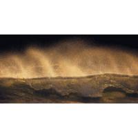 Fotobehang - Golden Wave 200x100cm - Vliesbehang