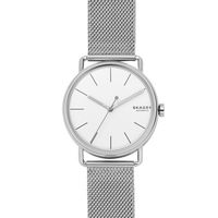 Horlogeband Skagen SKW6399 Staal 20mm