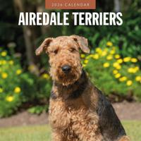 Airedale Terrier Kalender 2026