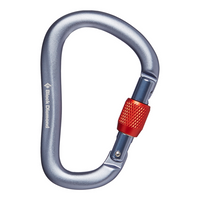 Black diamond Rocklock Screwgater Carabine Gray All Sizes