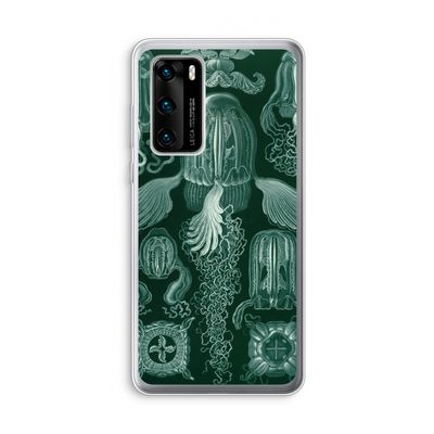 Haeckel Cubomedusae: Huawei P40 Transparant Hoesje