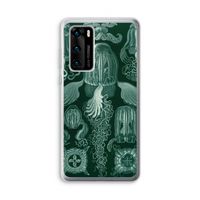 Haeckel Cubomedusae: Huawei P40 Transparant Hoesje