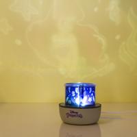 Disney Princess projectielamp