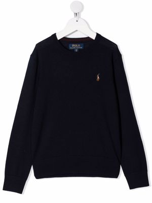 POLO RALPH LAUREN KIDS pull Pony à logo brodé - Bleu