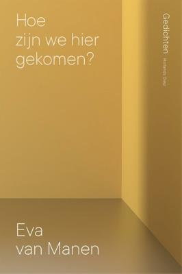 Hoe zijn we hier gekomen? (Paperback)